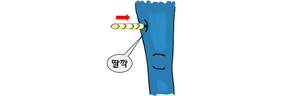 허벅지 바깥쪽(전외측)에 수직 방향으로 딸깍 소리가 날 때까지
세게 누릅니다. (옷을 입은채 사용해도 됩니다.)